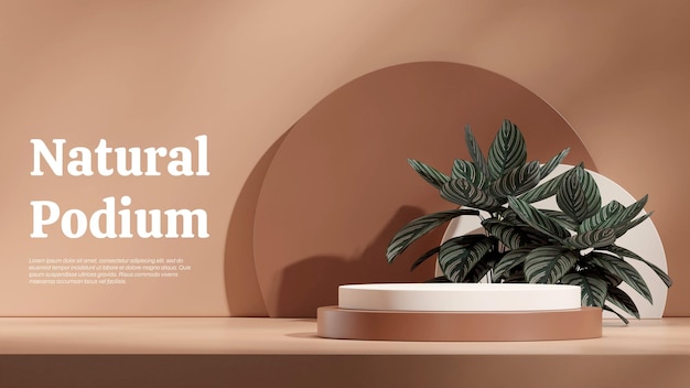 in landscape calathea pink stripe 3d render image scene mockup white brown cylinder podium