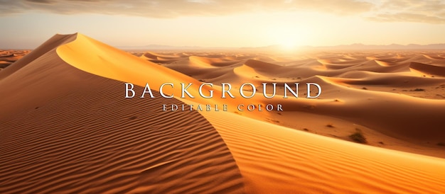 landscape view of sand dunes in the Sahara Desert