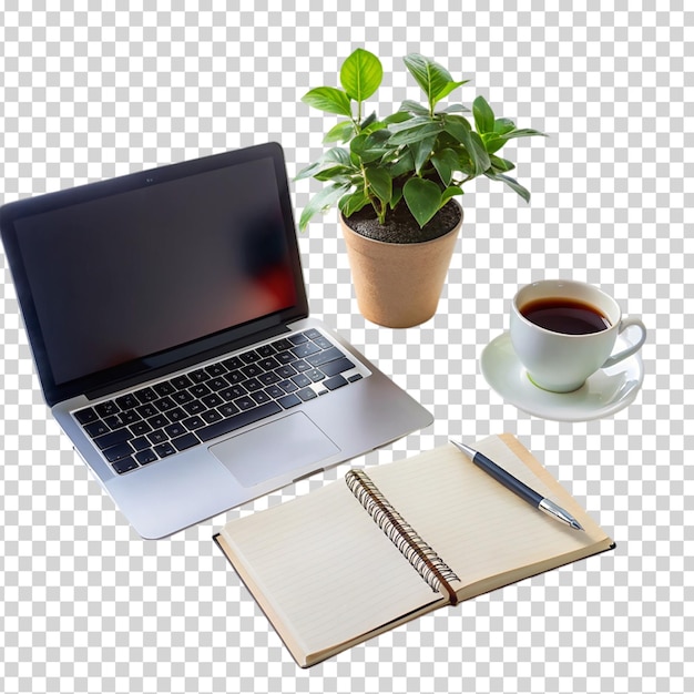 A laptop notebook coffee mug potted plant and cup of coffee on transparent background