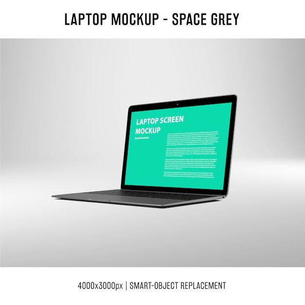 Laptop screen mockup