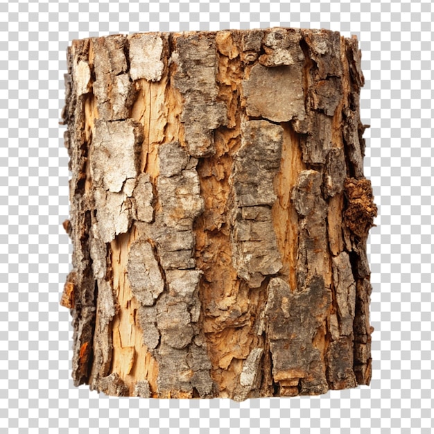 PSD large piece of bark inside isolated on transparent background