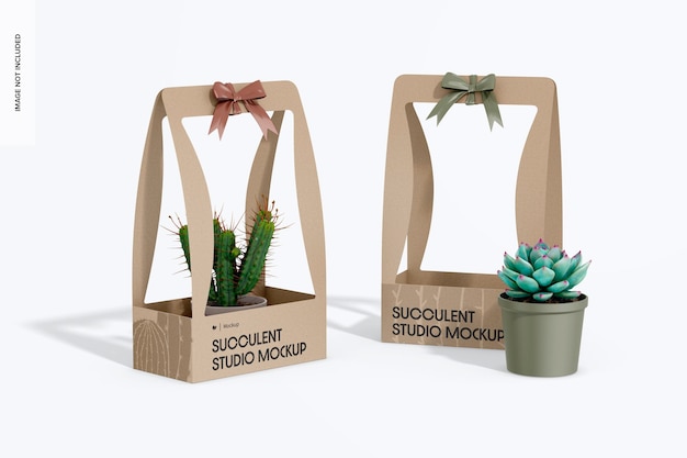 Large Plant Boxes Mockup