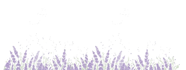 PSD lavander flower