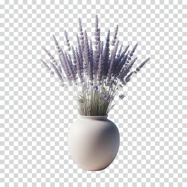 lavender plant in the vase transparent background