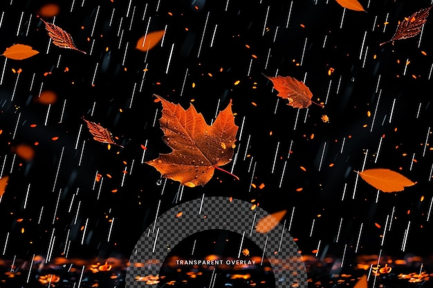 Leaf falling Special Effect Overlay Effect on Transparent background