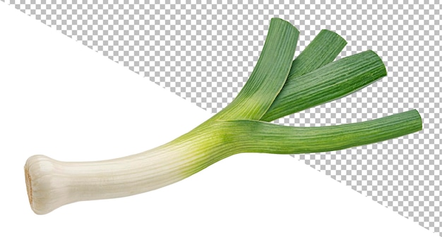 Leek isolated green onion on white background