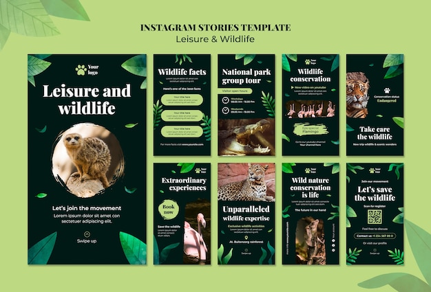 Leisure and wildlife template design