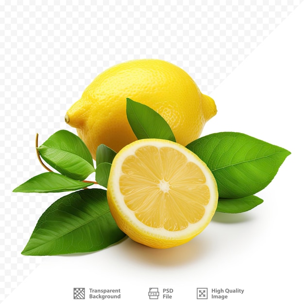 a lemon with green leaves and a lemon on it.