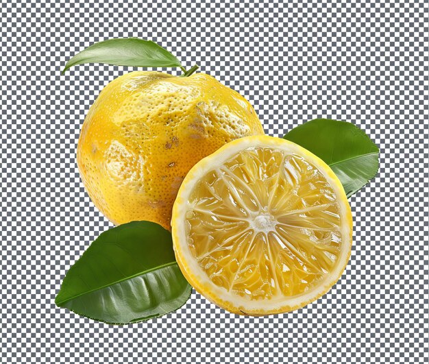 PSD a lemon with the word lemon on it