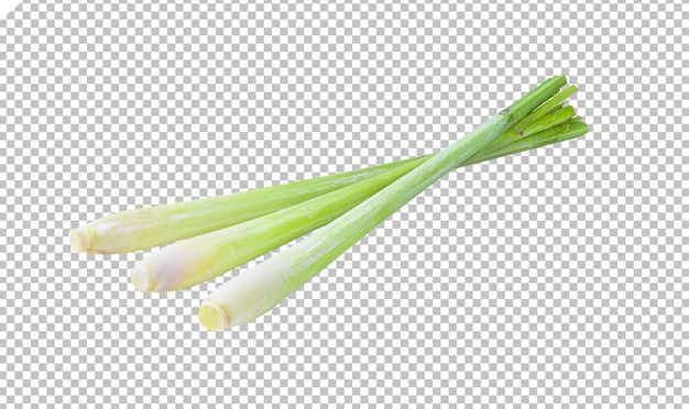 Lemongrass isolated on alpha layer