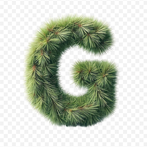 PSD the letter g is outlined in green