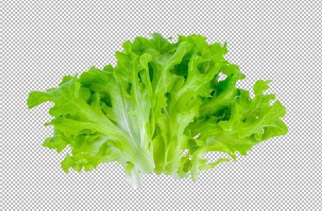 Lettuce isolated on alpha layer background