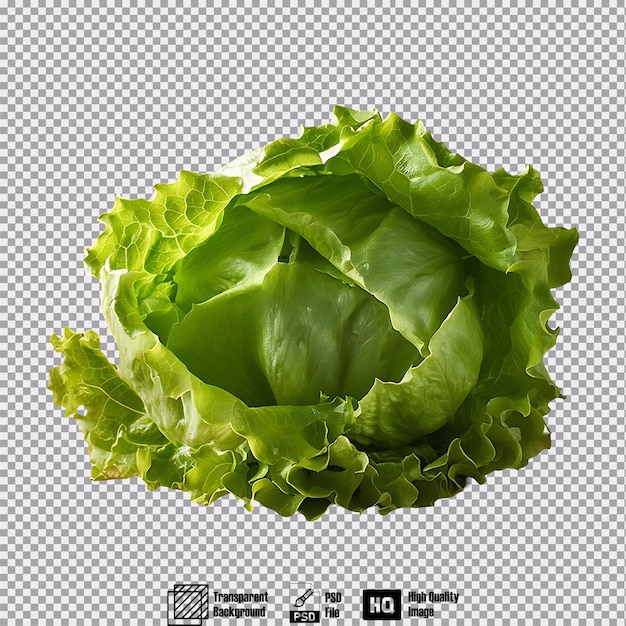 Lettuce isolated on transparent background