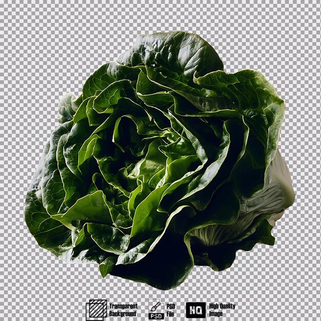 Lettuce isolated on transparent background