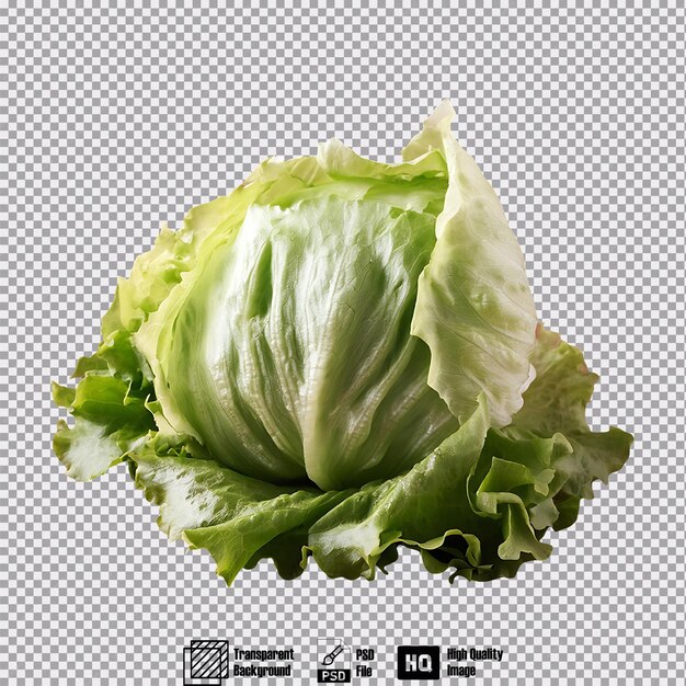 Lettuce isolated on transparent background