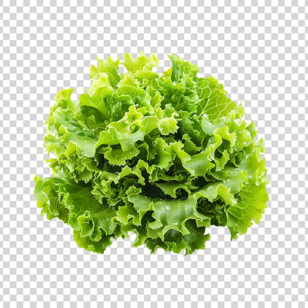 Lettuce isolated on transparent background