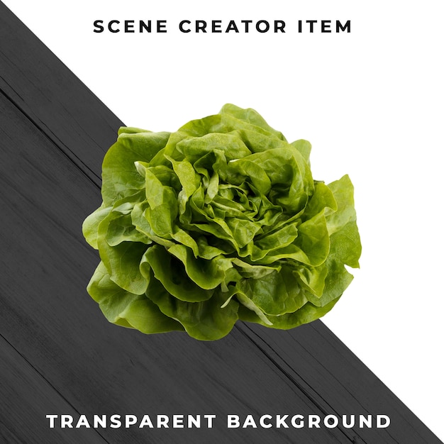 Lettuce isolated with clipping path.