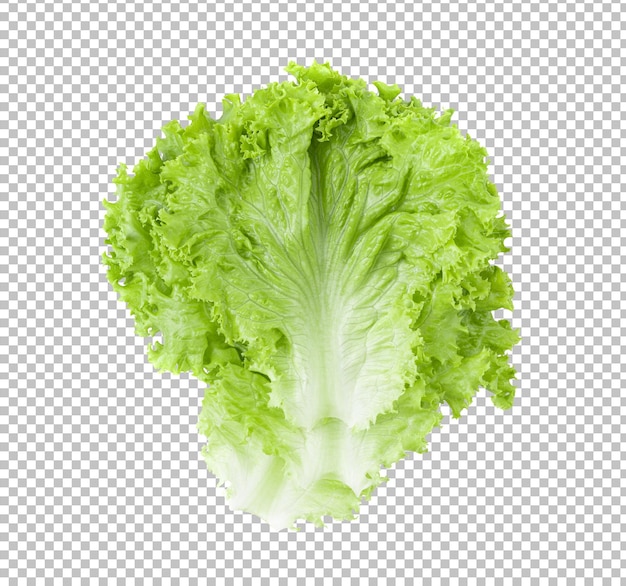 Lettuce leaves isolated on alpha layer