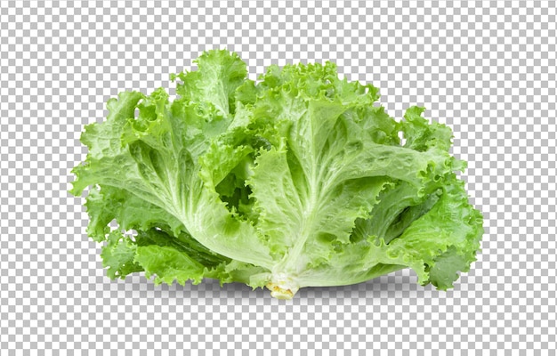 Lettuce salad leaves isolated on alpha layer