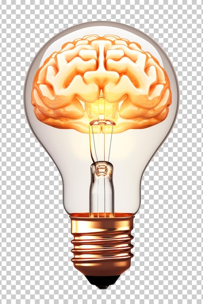 Lightbulb With Brain Isolated on Transparent Background