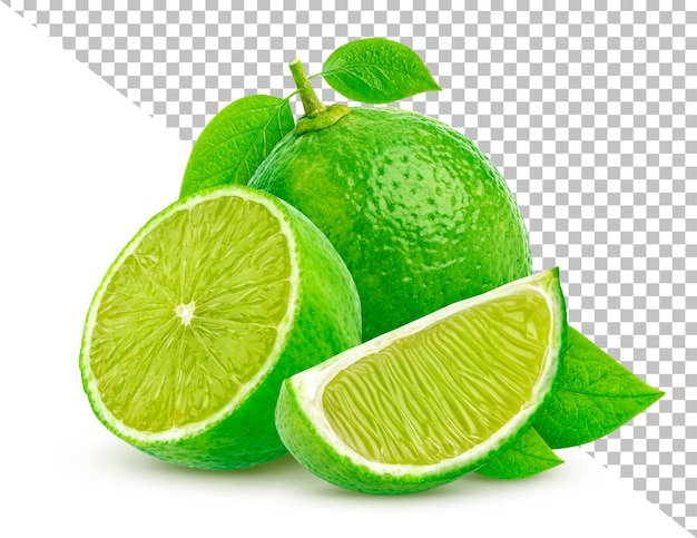 Lime fruit isolated