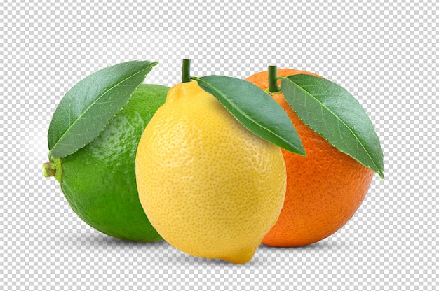 Lime Lemon Orange isolated on alpha layer