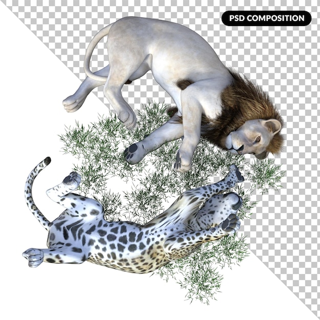 Lion animal family isolated 3d