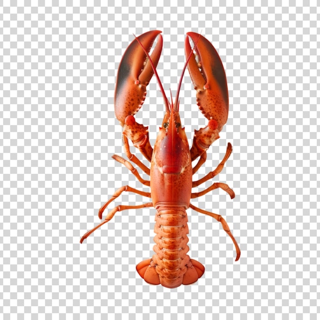 PSD a lobster on a transparent background