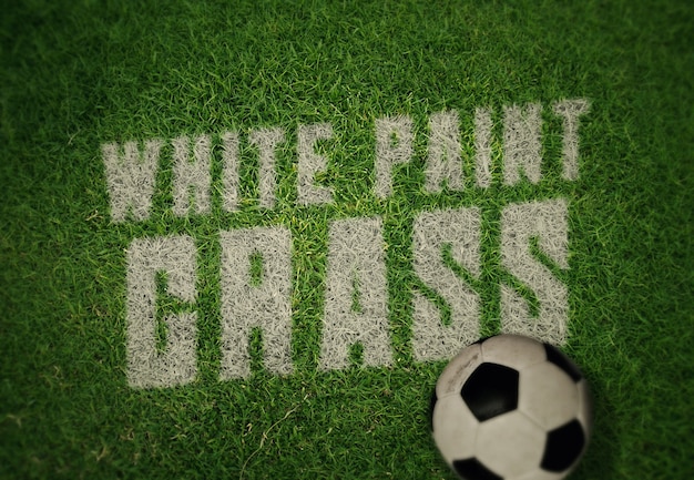 PSD logo or text mockup template - white paint on grass