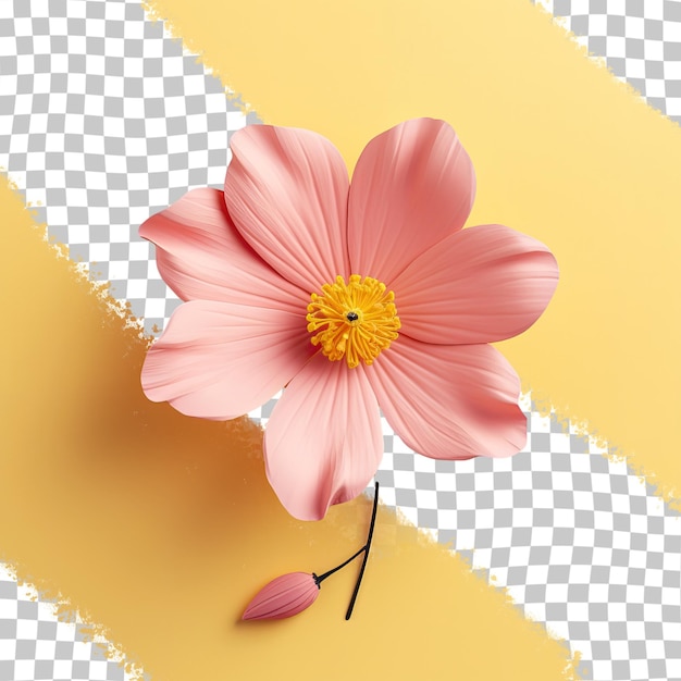 A lone yellow flower on a transparent background suitable for cards invitations and greetings