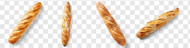 Long baguette on transparency background PSD