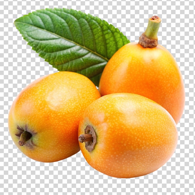 Loquat fruit Isolated on transparent background