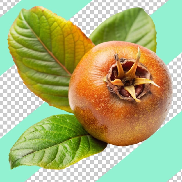 PSD loquat isolated on transparent background