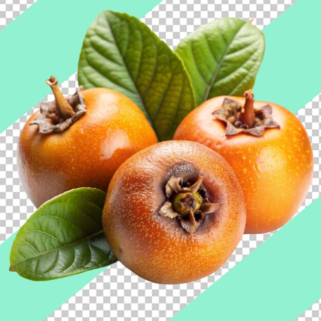 Loquat isolated on transparent background