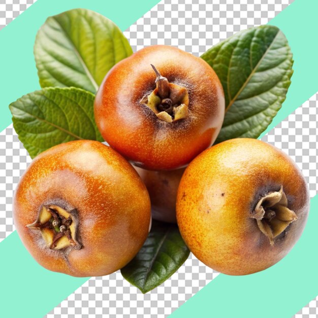 Loquat isolated on transparent background