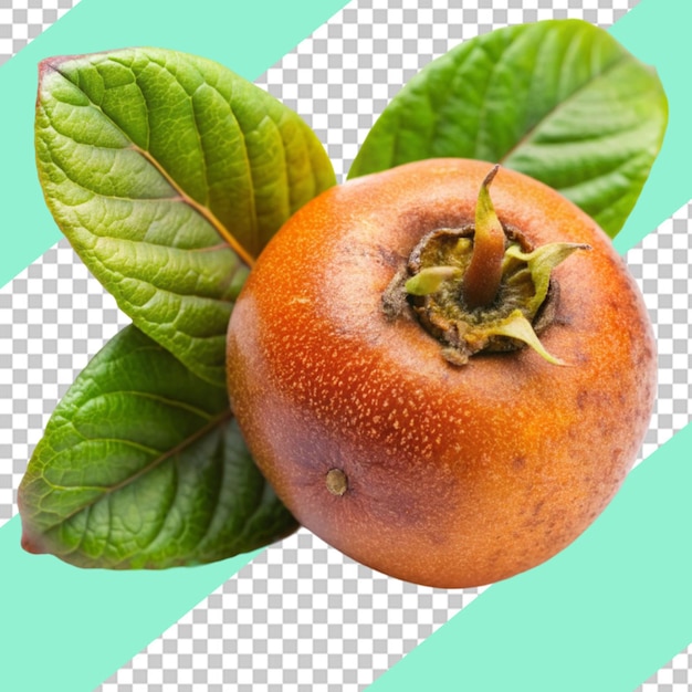 Loquat isolated on transparent background