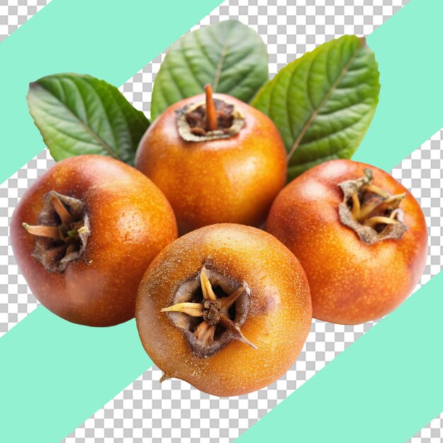 Loquat isolated on transparent background