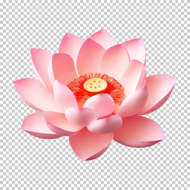 Lotus Flower Isolated on Transparent Background