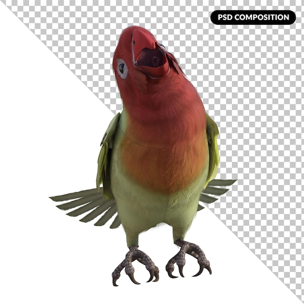 Love bird animal isolated 3d rendering