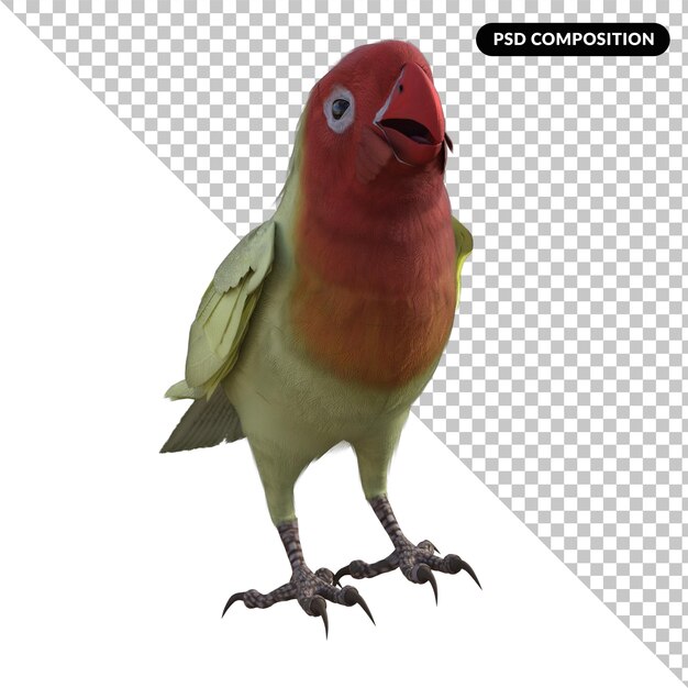 Love bird animal isolated 3d