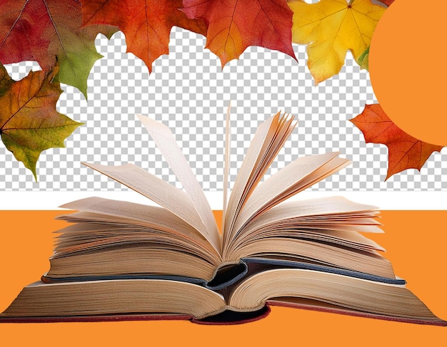 love reading books png illustration