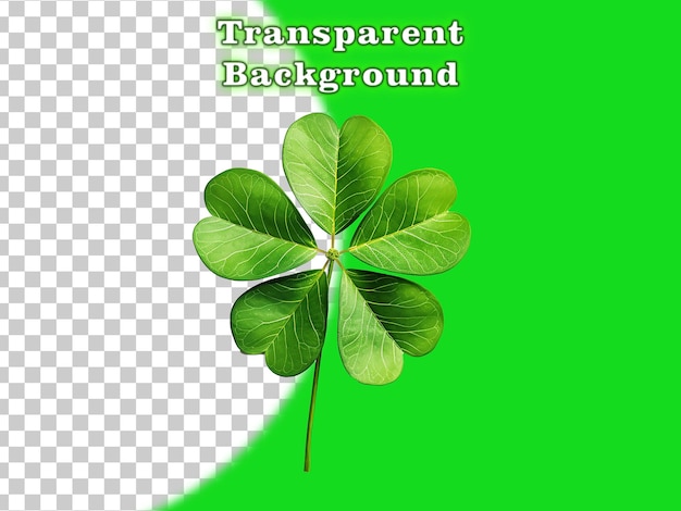 PSD a lucky shamrock on white background