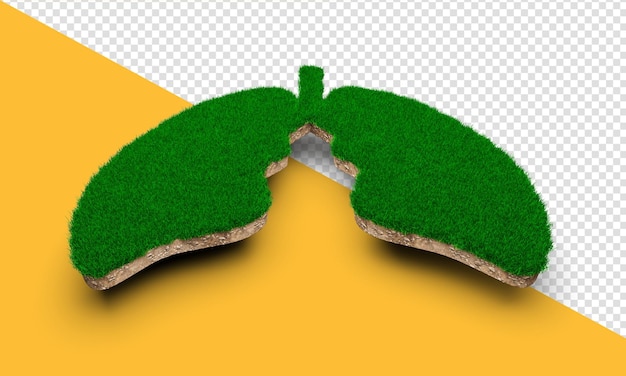 Lungs shape made of green grass and Rock ground texture cross section with 3d illustration