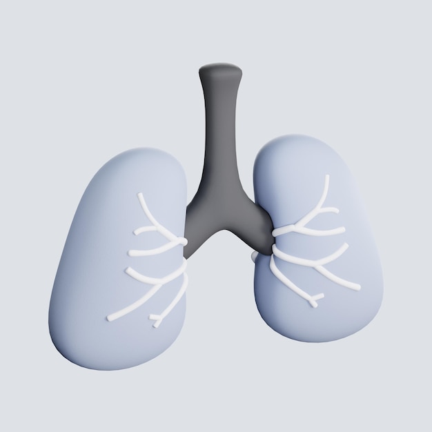 Lungs