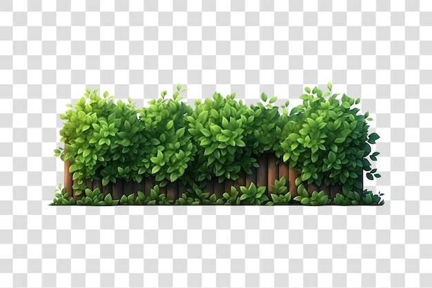 Lush green hedge garden fence