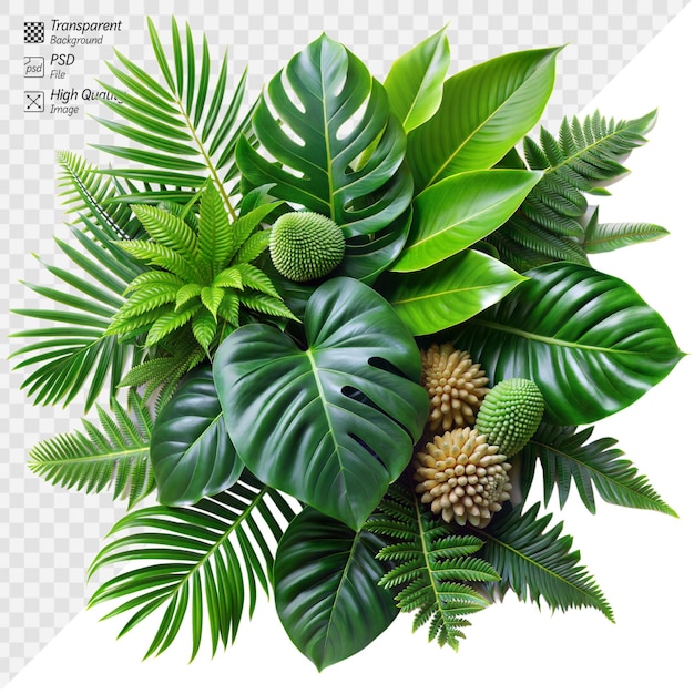 Lush tropical leaves and exotic flowers arrangement