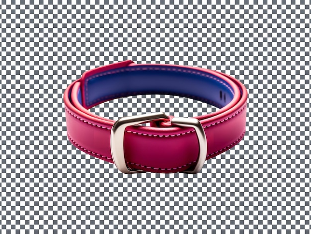 PSD luxury pet collar isolated on a transparent background