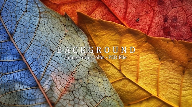 PSD macro background leaf autumn generative ai