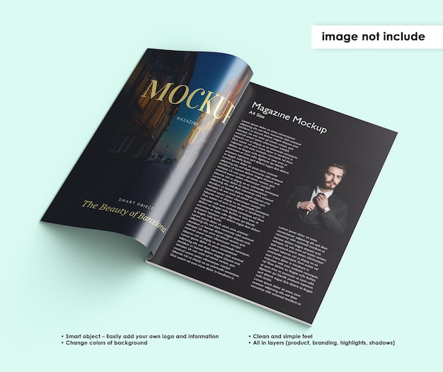 Magazine Mockup Design Isolated