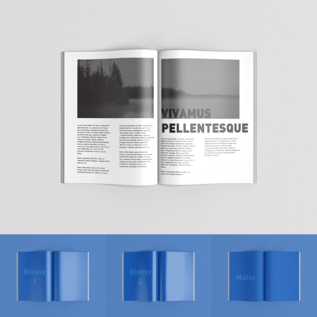 PSD magazine pages mock up